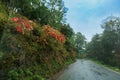 Abstract monsoon landscape of Himalays, Garhwal, Uttarakhand, India. Climate change effect on Himalays bringing landslide,