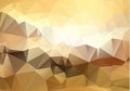 Abstract mosaic Brown Polygonal Geometric Triangle Background, Low Poly Style. Business Design Templates modern Triangle