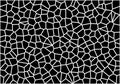 Abstract Mosaic Vector Pattern Background with Irregular Polygon Network in Black and White Royalty Free Stock Photo