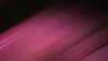 Abstract motion background pink and black color Royalty Free Stock Photo