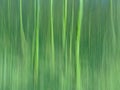 Abstract motion blur background in tintsof green with vertical lines