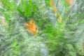 Abstract motion blur, flower & leave