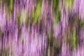 Abstract motion blur of flowers - long exposure