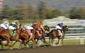 Abstract Motion Blur Horse Race Royalty Free Stock Photo