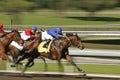 Abstract Motion Blur Horse Race Royalty Free Stock Photo