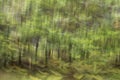 Abstract motion blur, trees trunk & leave, yellow green background Royalty Free Stock Photo