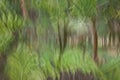 Abstract motion blur, trees trunk & leave, yellow green background Royalty Free Stock Photo