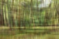 Abstract motion blur, trees trunk & leave, yellow green background Royalty Free Stock Photo