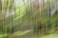 Abstract motion blur, trees trunk & leave, yellow green background Royalty Free Stock Photo