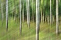 Abstract motion blur, trees trunk & leave, yellow green background Royalty Free Stock Photo