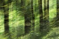 Abstract motion blur, trees trunk & leave, yellow green background Royalty Free Stock Photo