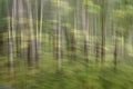 Abstract motion blur, trees trunk & leaves, yellow green background Royalty Free Stock Photo