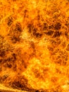 Abstract movement flame fire, flame background Royalty Free Stock Photo