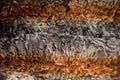 Abstract multicolor fur texture Royalty Free Stock Photo