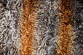Abstract multicolor fur texture Royalty Free Stock Photo