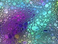 Abstract multicolor water oil soap bubbles mixed texture Royalty Free Stock Photo