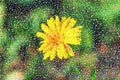 Abstract multicolored pointillist painting - one flower