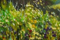 Abstract multicolored summer flowers. Glade of spring flowers. Enlarged Fragment of the picture. Expressionism with acrylic. Natur