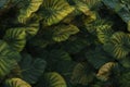 Abstract multiple leaves green nature background