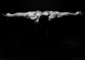 Abstract Muscular Bodybuilder Royalty Free Stock Photo