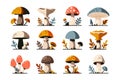 Abstract mushrooms. Forest plants different shapes, amanita, chanterelle, boletus, fly agaric, cartoon poisonous and Royalty Free Stock Photo
