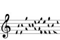 Abstract music stave with birds