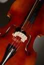 Abstract music violoncello Royalty Free Stock Photo