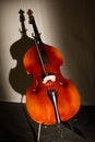 Abstract music violoncello Royalty Free Stock Photo