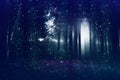 Abstract and mysterious background of blurred forest
