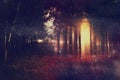Abstract and mysterious background of blurred forest