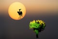 Abstract Mystical Background With Unusual Animals At Sunset. Fantastic Images And Symbols. Tree