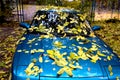 Abstract mystical image of an emerald car with a yellow autumn leaves the leaves on glass and hood