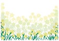 Abstract narcissi border