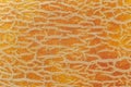 close up of ripe melon skin texture Royalty Free Stock Photo