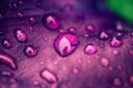 drops of dew on a purple flower leaf close-up Royalty Free Stock Photo