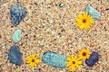 Pebbles and flowers on coquina shells