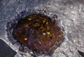 Abstract natural background of stone, water and leaves. Puddle of water in gray stone Royalty Free Stock Photo