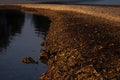 Abstract natural background of yellow and brown coastline of pebble and smooth blue sea water with dark reflections - abstract. Royalty Free Stock Photo