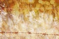 Abstract natural backgrounds with beauty bokeh Royalty Free Stock Photo