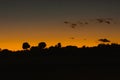 Abstract natural black and orange background. Silhouettes of trees, clouds on the background of the sunset sky. The sun Royalty Free Stock Photo