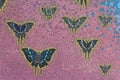 Abstract, Natural and butterfly pattern ceramic tile Royalty Free Stock Photo