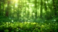 Abstract natural forest background with blurred lights. Royalty Free Stock Photo