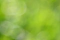 abstract natural green background with bokeh