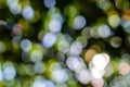 Abstract natural green bokeh background, blurred and defocused, green leaves bokeh out of focus background from nature forest. Royalty Free Stock Photo