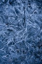 Abstract ice texture, Belgium Royalty Free Stock Photo
