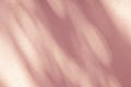 Abstract natural leaves shadow blur background on pink wall texture Royalty Free Stock Photo