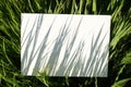 Abstract natural painting from grass shadows on canvas. Blank canvas in the grass of a summer sunny field Royalty Free Stock Photo