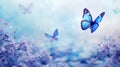 Abstract natural spring background with butterflies and light blue dark meadow flowers closeup. Royalty Free Stock Photo