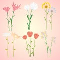 Abstract Natural Spring Flowers Collection