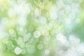 Abstract natural spring light green and yellow background texture with leaves and blurred bokeh circles. Space for design Royalty Free Stock Photo